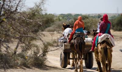 Escorted India Tour — 4