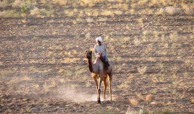 Escorted India Tour — 5