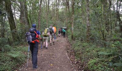Suba o Kilimanjaro – Lemosho 9 Dias | Caminhada Cênica e Moderada com Guias Especialistas — 5