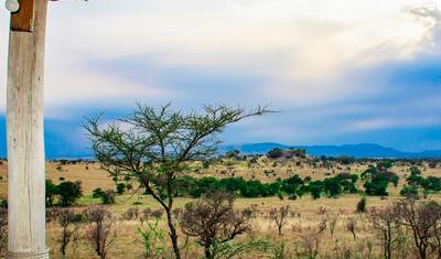 Klasyczne safari Big Five w Tanzanii **Zrównoważone podejście do podróży** — 4