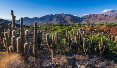 4 Dias em Salta: Vale de Humahuaca e Vinícolas de Cafayate — 4