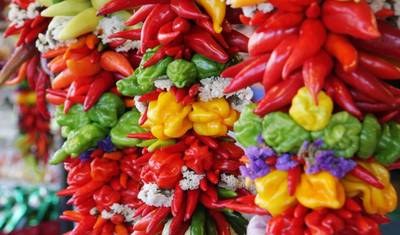 Magic Chiapas — 2