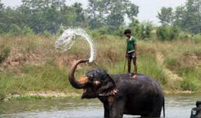 Kathmandu, Excursão a Chitwan 4 Dias 3 Noites — 2