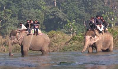 Kathmandu, Excursão a Chitwan 4 Dias 3 Noites — 4