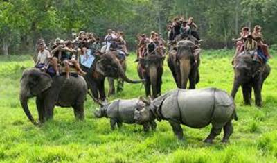 Kathmandu, Excursão a Chitwan 4 Dias 3 Noites — 5