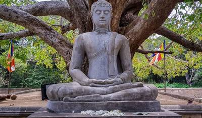 Sri Lanka 4 Days Itinerary — 5