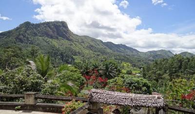 The Eastern Madagascar wonder — 5
