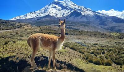 チンボラソ登頂遠征：エクアドルでの3日間高所登山アドベンチャー — 2