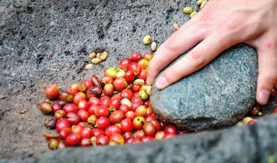 رحلة طبيعية مخصصة إلى نيكاراغوا لمدة 9 أيام، مغادرة يومية ودليل خاص — 3