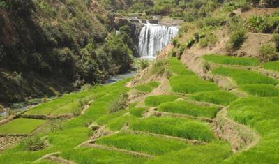 ثقافة وسحر مدغشقر — 4