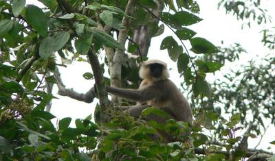 Tour de Exploração no Nepal — 5