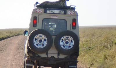Safari de 2 Dias em Lodge Econômico para Tarangire e Ngorongoro — 5