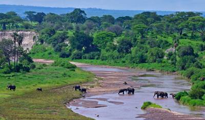 Safári Privado Econômico de 5 Dias: Tarangire, Serengeti e Ngorongoro — 3