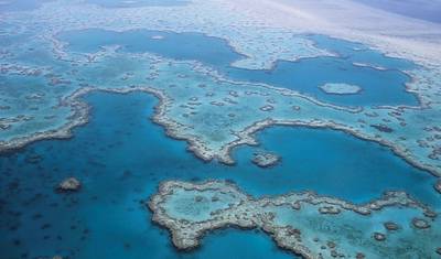 Australia: North Queensland Adventure (Without Sailing) — 4