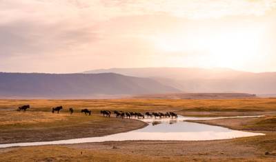 Kenia i Tanzania: Przygoda Safari z Zanzibarem 16 Dni — 3