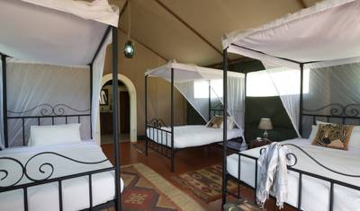 Najlepsze safari „Wielkiej Piątki” w północnej Tanzanii – Komfort — 3