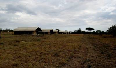 Najlepsze safari „Wielkiej Piątki” w północnej Tanzanii – Komfort — 4