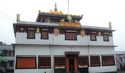 Wycieczka po plantacji herbaty Darjeeling — 4