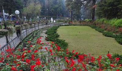 محطة تلال Mussoorie من Dehradun — 4