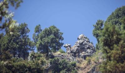 محطة تلال Mussoorie من Dehradun — 5
