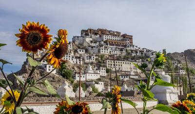 Ladakh Místico - Um Tour Cultural — 3