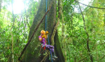Tour de 4 dias pela Selva Amazônica de Iquitos com observação de botos-cor-de-rosa — 3