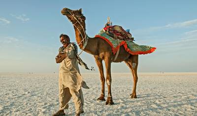 Gujarat: The Art, Craft & Nature Exploration — 2