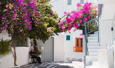 Milos, Ios e Naxos: Excursão de 12 Dias para Explorar as Ilhas Gregas — 4