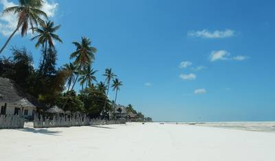 28-dniowa wyprawa: Parki Narodowe, Goryle i Zanzibar (Kemping) — 5