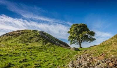 جولة مشي في Northumberland — 2