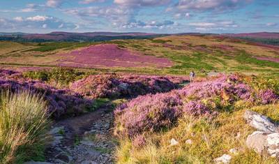 جولة مشي في Northumberland — 4