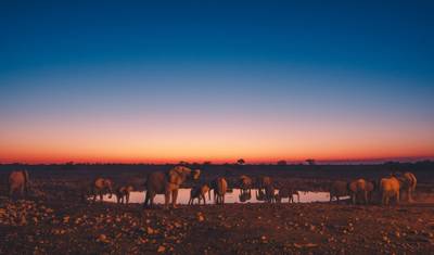 Safari de Acampamento Clássico de 12 Dias na Namíbia — 4