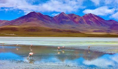 Deserto, Sal e Cores: Explorando o Altiplano Boliviano - 4 dias — 3