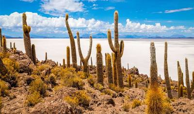Boliwia: Uyuni - 5 dni — 3