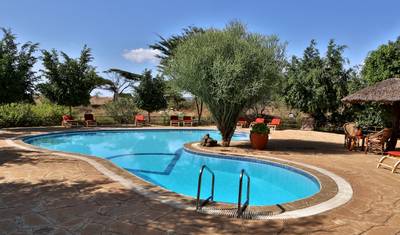 3-Day Kenya Lodge Safari - Amboseli Park — 5