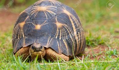 マダガスカルをいつもと違う方法で発見する素晴らしい周遊の旅 — 4