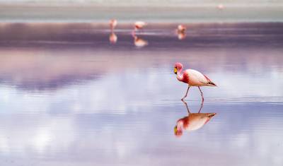 Przygoda 4D/3N na Salar de Uyuni i pustyni (La Paz do Atacama) — 5
