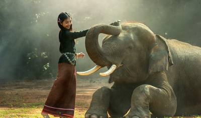 Triângulo Dourado do Nordeste com Tour ao Parque Nacional de Kaziranga — 3