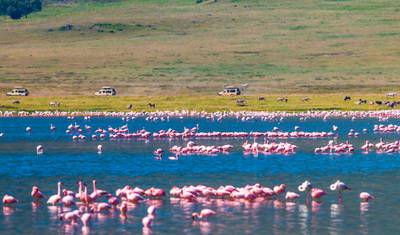 Tailor-Made 9 Days Private Tanzania Northern Circuit Trip — 2