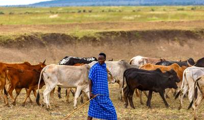 Tailor-Made 9 Days Private Tanzania Northern Circuit Trip — 4