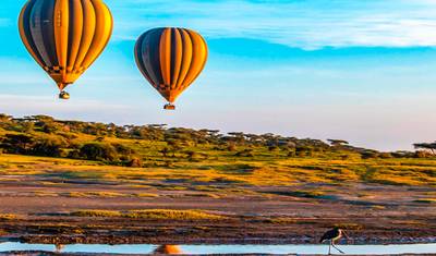 Tailor-Made 9 Days Private Tanzania Northern Circuit Trip — 3