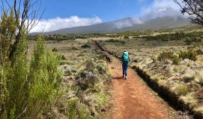 Cume do Kilimanjaro pela Rota Machame e Safári com Acampamento - (PRIVADO) — 3