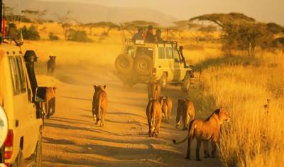 Szyta na miarę 11-dniowa prywatna przygoda w Tanzanii i na Zanzibarze, codzienny wyjazd — 5