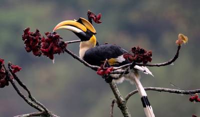 Nature Trekと巡るブータン中央部の文化の旅 — 4