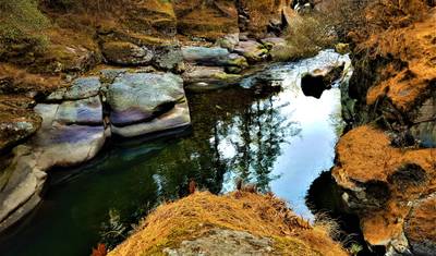 Bhutan Birding & Wildlife Tour — 4
