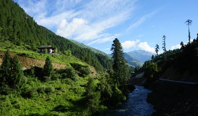 Bhutan Birding & Wildlife Tour — 2