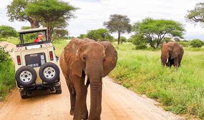 19-Days Best of Kenya, Tanzania & Diani Beach Holiday- High End — 2