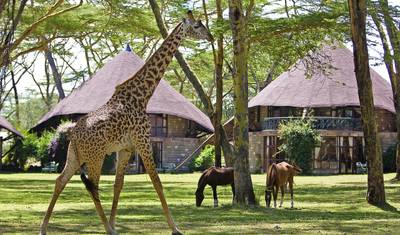 19-Days Best of Kenya, Tanzania & Diani Beach Holiday- High End — 4