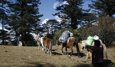 Kulturowa wycieczka po Bhutanie z 2-dniowym trekkingiem w Dolinie Bumthang — 4