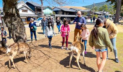 Excursão de 7 Dias em Mini Grupo pelo Japão com Hotéis 3/4 Estrelas, Máximo 6 Pessoas — 4